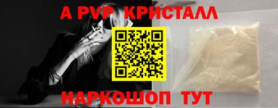 мет Кингисепп