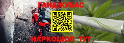мет Кингисепп