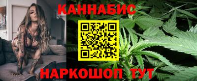 мет Кингисепп