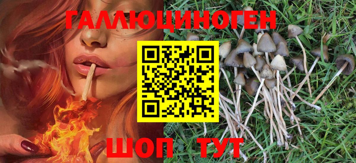 Балтийск  Псилоцибиновые грибы MAGIC MUSHROOMS  Псилоцибиновые грибы Cubensis  Вход с VPN 