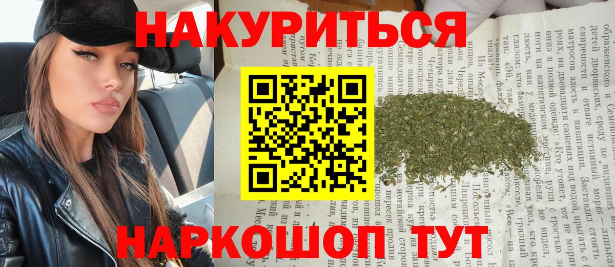 Конопля индика Балтийск